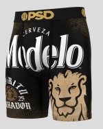 Modelo - Modelo Time
